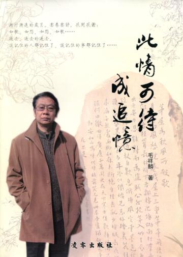 此情可待成追憶