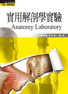 實用解剖學實驗