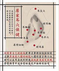 居家耳穴保健