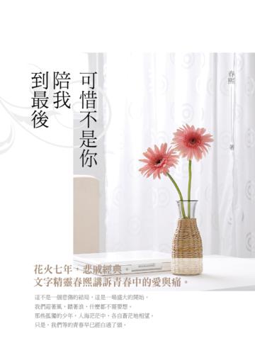 可惜不是你 陪我到最後