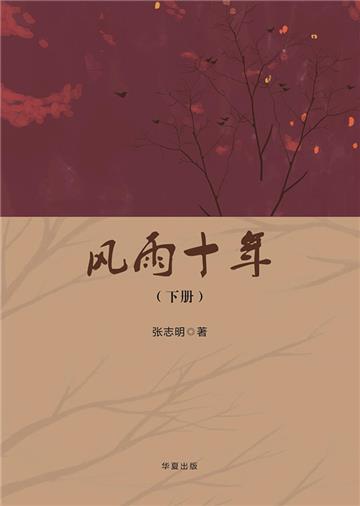 风雨十年（下）