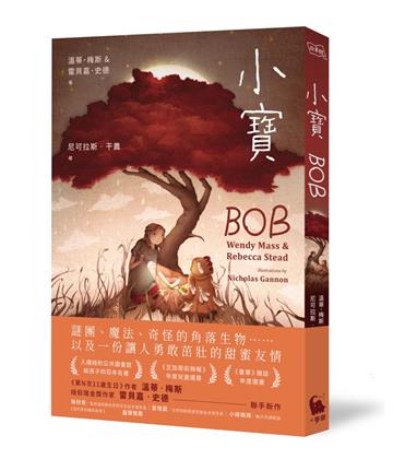 小寶（《第n次11歲生日》作者溫蒂梅斯、紐伯瑞金獎作家雷貝嘉史德聯手新作）