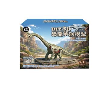 3D腕龍解剖模型