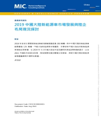 2019中國大陸新能源車市場發展與陸企布局現況探討