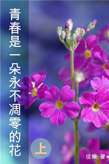 青春是一朵永不凋零的花（上）