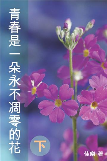青春是一朵永不凋零的花（下）