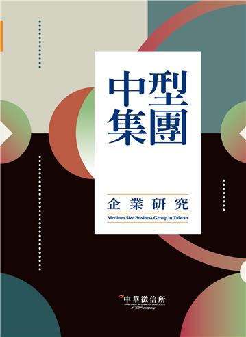 2021台灣中型集團企業研究