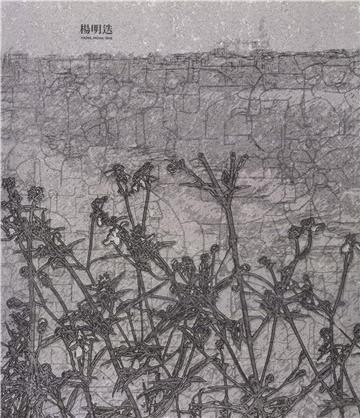 楊明迭