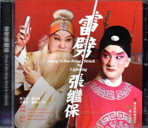 雷劈張繼保DVD