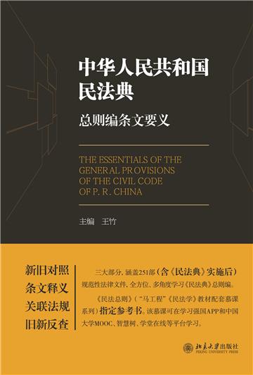 《中华人民共和国民法典》总则编条文要义