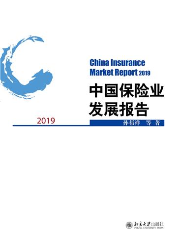 中国保险业发展报告 2019