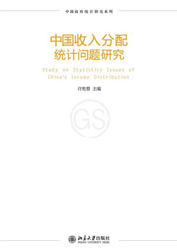 中国收入分配统计问题研究