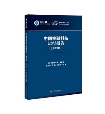 中國金融科技運行報告（2020）