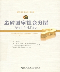 金砖国家社会分层：变迁与比较