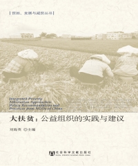 大扶贫：公益组织的实践与建议