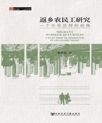 返乡农民工研究：一个生命历程的视角