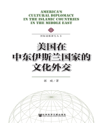 美国在中东伊斯兰国家的文化外交