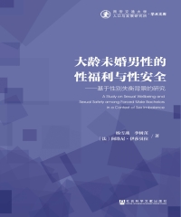 大龄未婚男性的性福利与性安全：基于性别失衡背景的研究