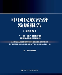 中国民族经济发展报告（2015）：“一带一路”战略下的民族地区经济国际化