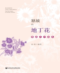怒放的地丁花：家政工口述史