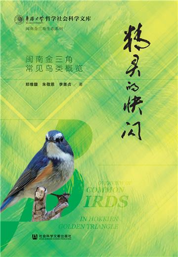 精灵的快闪：闽南金三角常见鸟类概览
