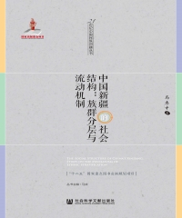 中国新疆的社会结构：族群分层与流动机制