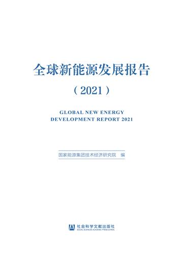 全球新能源发展报告（2021）