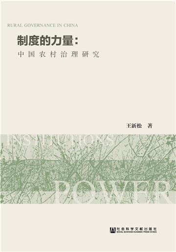 制度的力量：中国农村治理研究