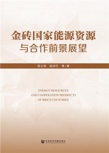 金砖国家能源资源与合作前景展望