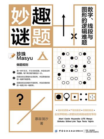 妙趣谜题：数字、线段与图形的逻辑难题