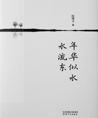 年华似水水流东