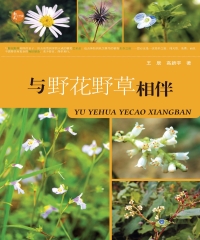 与野花野草相伴
