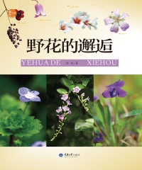 野花的邂逅