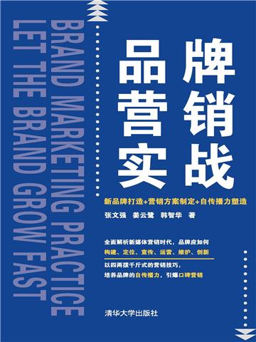 品牌营销实战：新品牌打造+营销方案制定+自传播力塑造