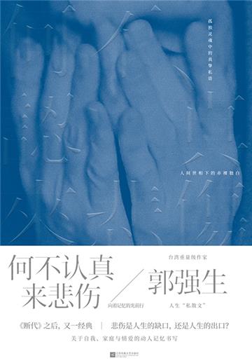 何不认真来悲伤