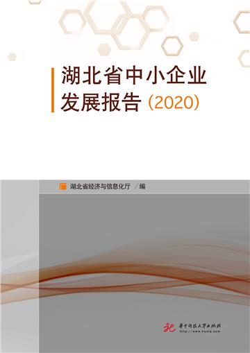 湖北省中小企业发展报告（2020）