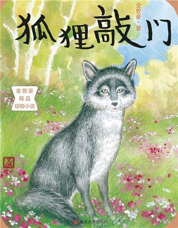 狐狸敲门