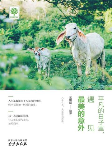 平凡的日子里，遇见最美的意外