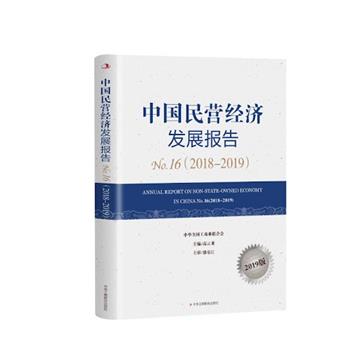 中國民營經濟發展報告：2019版：No.16(2018-2019)：No.9(2018-2019)