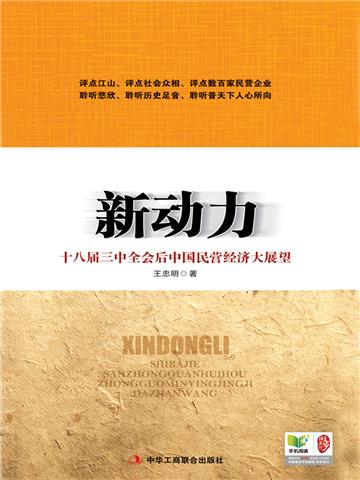 新动力：十八届三中全会后中国民营经济大展