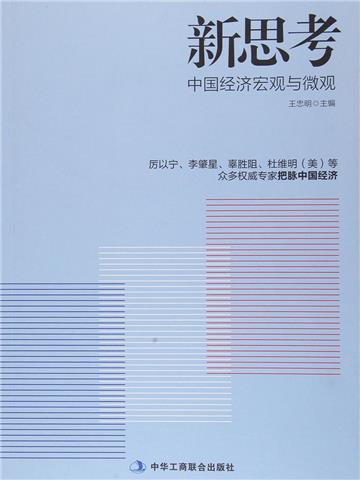 新思考：中国经济宏观与微观