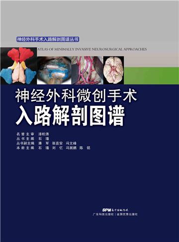 神经外科微创手术入路解剖图谱