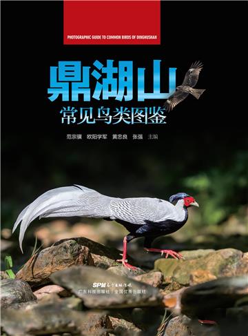 鼎湖山常见鸟类图鉴