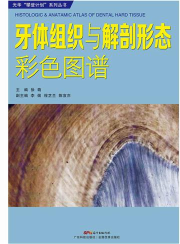 牙体组织与解剖形态彩色图谱