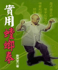實用螳螂拳
