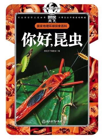 你好，昆虫
