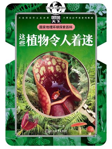 这些植物令人着迷