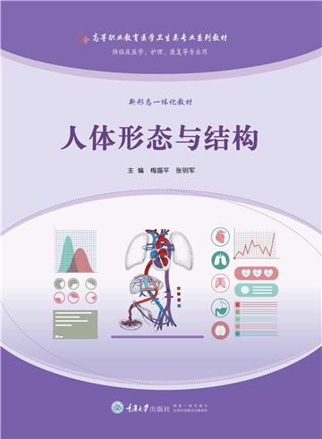 人体形态与结构