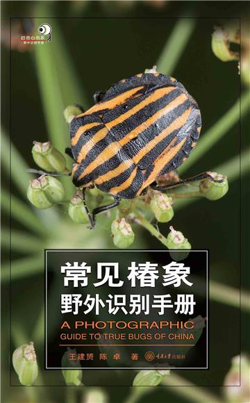 常见椿象野外识别手册
