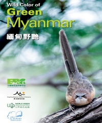 緬甸野艷Wild Color of Green Myanmar